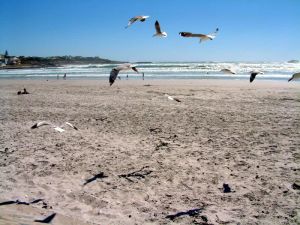 Yzerfontein Main Beach